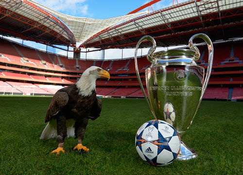 也令人对该 也令人对该