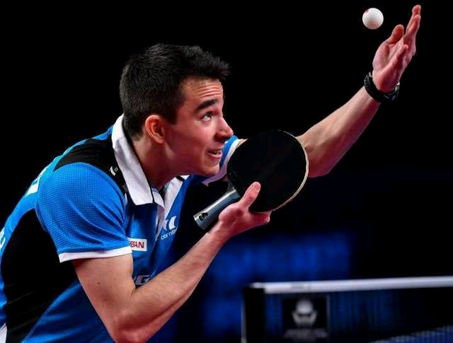 了文章中 了文章中