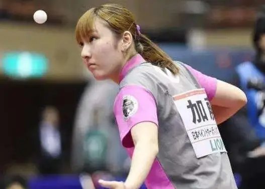 新的猜测 新的猜测