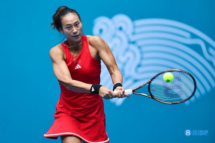 摔跤站立攻 摔跤站立攻